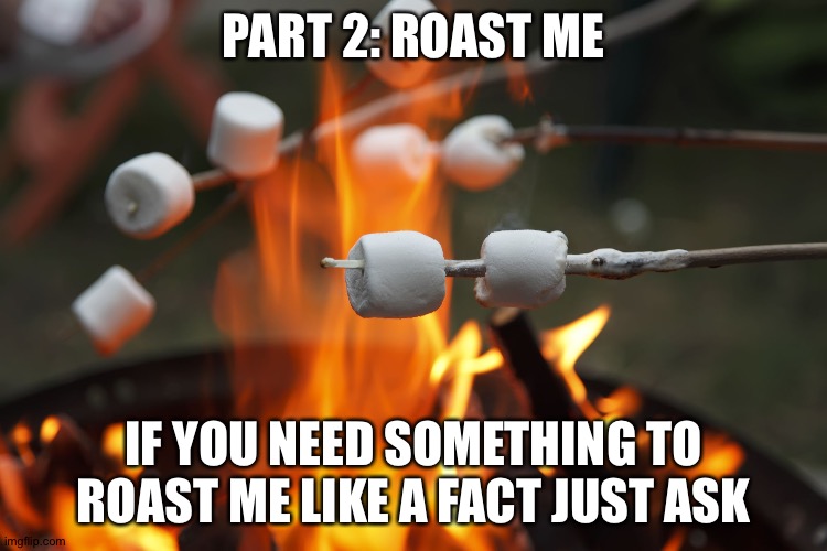 Part 2 cause boredom | PART 2: ROAST ME; IF YOU NEED SOMETHING TO ROAST ME LIKE A FACT JUST ASK | image tagged in roasting marshmellows | made w/ Imgflip meme maker