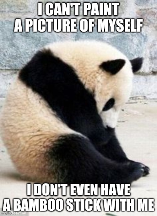 Sad Panda | I CAN'T PAINT A PICTURE OF MYSELF; I DON'T EVEN HAVE A BAMBOO STICK WITH ME | image tagged in sad panda | made w/ Imgflip meme maker