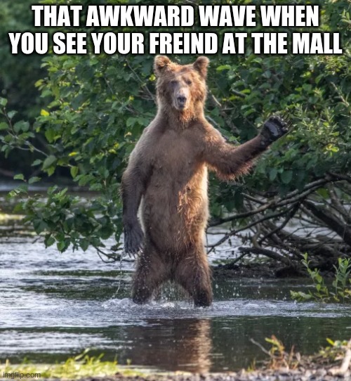 Waving hi | THAT AWKWARD WAVE WHEN YOU SEE YOUR FRIEND AT THE MALL | image tagged in bear,waving | made w/ Imgflip meme maker