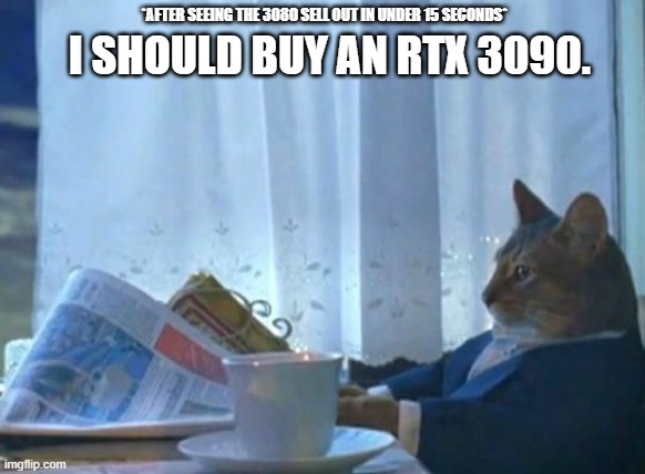 The next logical choice. | *AFTER SEEING THE 3080 SELL OUT IN UNDER 15 SECONDS*; I SHOULD BUY AN RTX 3090. | image tagged in cat newspaper | made w/ Imgflip meme maker