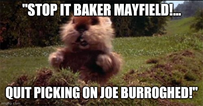 Joe Burroughed | "STOP IT BAKER MAYFIELD!... QUIT PICKING ON JOE BURROGHED!" | image tagged in caddy shack gopher,baker mayfield,bengals,kitty,bombs | made w/ Imgflip meme maker