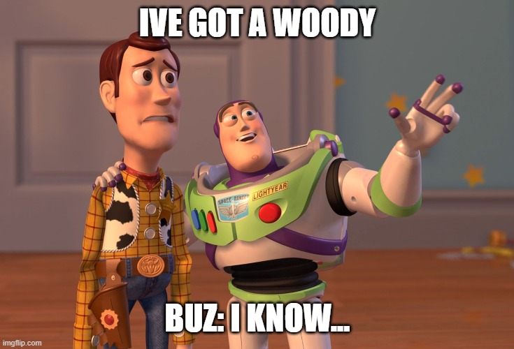 woody | IVE GOT A WOODY; BUZ: I KNOW... | image tagged in memes,x x everywhere | made w/ Imgflip meme maker