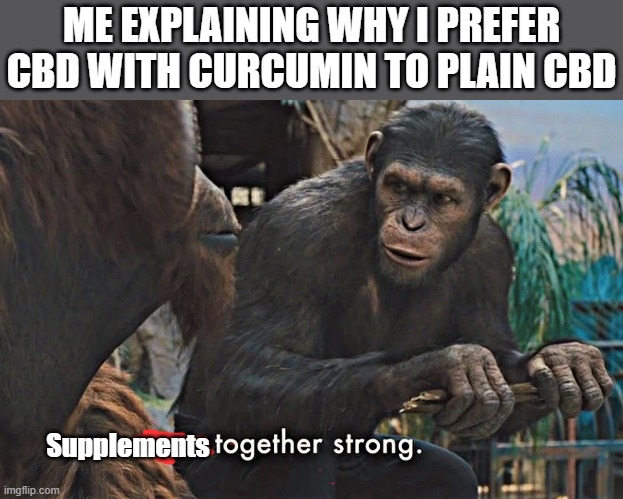 Supplements together strong | ME EXPLAINING WHY I PREFER CBD WITH CURCUMIN TO PLAIN CBD; Supplements | image tagged in apes together strong | made w/ Imgflip meme maker