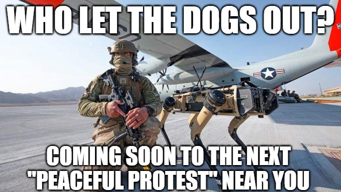 Robo Dawg | WHO LET THE DOGS OUT? COMING SOON TO THE NEXT "PEACEFUL PROTEST" NEAR YOU | image tagged in robot dog | made w/ Imgflip meme maker