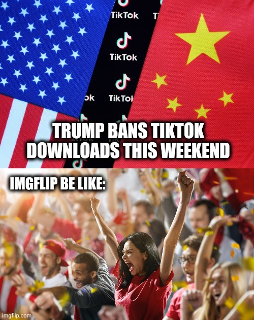 TRUMP BANS TIKTOK DOWNLOADS THIS WEEKEND; IMGFLIP BE LIKE: | image tagged in memes,tiktok,banned | made w/ Imgflip meme maker