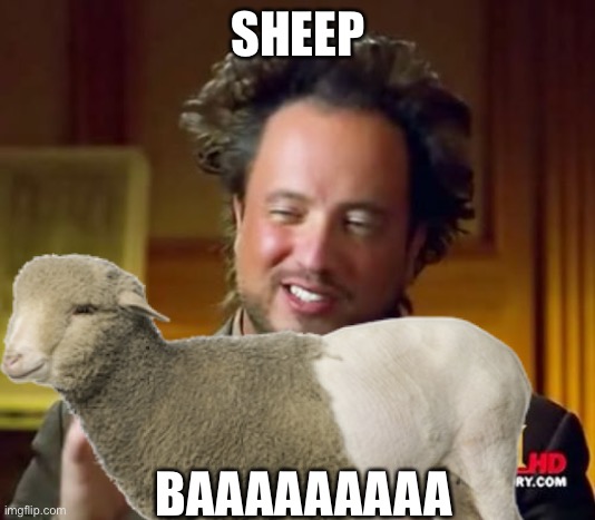 SHEEP | SHEEP; BAAAAAAAAA | image tagged in sheep,ancient aliens,i like trains,bill nye the science guy,poop,pepperidge farm remembers | made w/ Imgflip meme maker