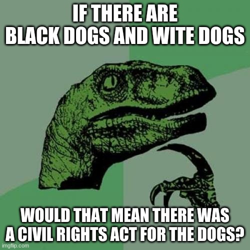 Philosoraptor | IF THERE ARE BLACK DOGS AND WITE DOGS; WOULD THAT MEAN THERE WAS A CIVIL RIGHTS ACT FOR THE DOGS? | image tagged in memes,philosoraptor | made w/ Imgflip meme maker