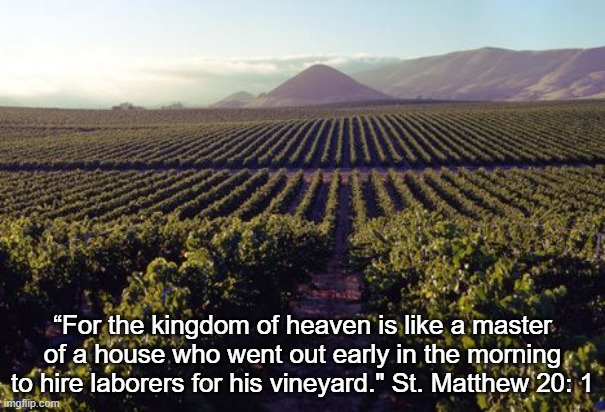A Living Wage | “For the kingdom of heaven is like a master of a house who went out early in the morning to hire laborers for his vineyard." St. Matthew 20: 1 | image tagged in bible,jesus | made w/ Imgflip meme maker