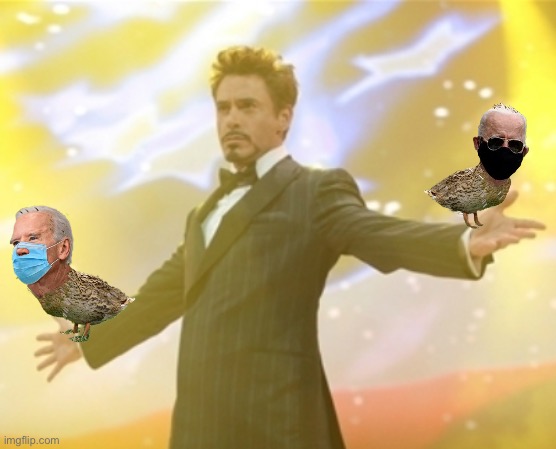 Two ducks in the hand | image tagged in tony knows birds | made w/ Imgflip meme maker