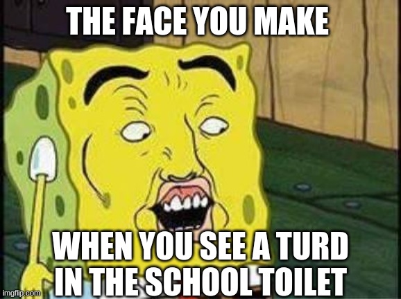 sponge bob bruh | THE FACE YOU MAKE; WHEN YOU SEE A TURD IN THE SCHOOL TOILET | image tagged in sponge bob bruh | made w/ Imgflip meme maker