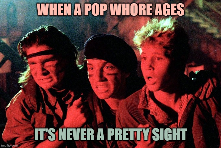 WHEN A POP WHORE AGES IT'S NEVER A PRETTY SIGHT | made w/ Imgflip meme maker