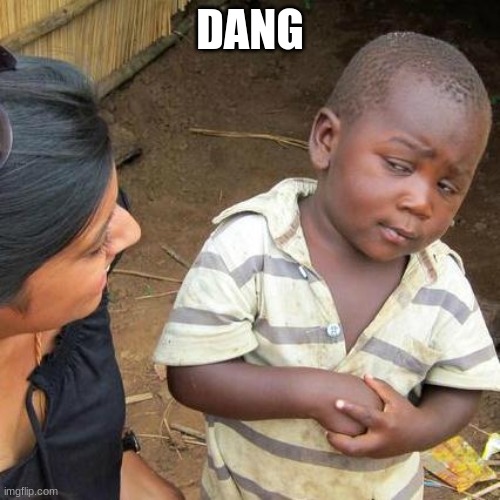 Third World Skeptical Kid | DANG | image tagged in memes,third world skeptical kid | made w/ Imgflip meme maker