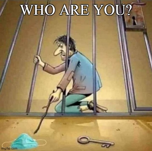 Who Are You? | WHO ARE YOU? | image tagged in covid-19,covid19,covid | made w/ Imgflip meme maker