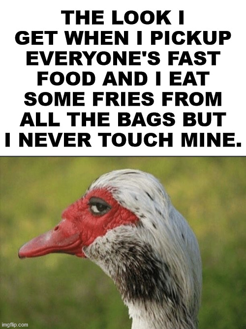 I am so sneaky and so full. | THE LOOK I GET WHEN I PICKUP EVERYONE'S FAST FOOD AND I EAT SOME FRIES FROM ALL THE BAGS BUT I NEVER TOUCH MINE. | image tagged in blank white template,sneaky,french fries,fast food | made w/ Imgflip meme maker