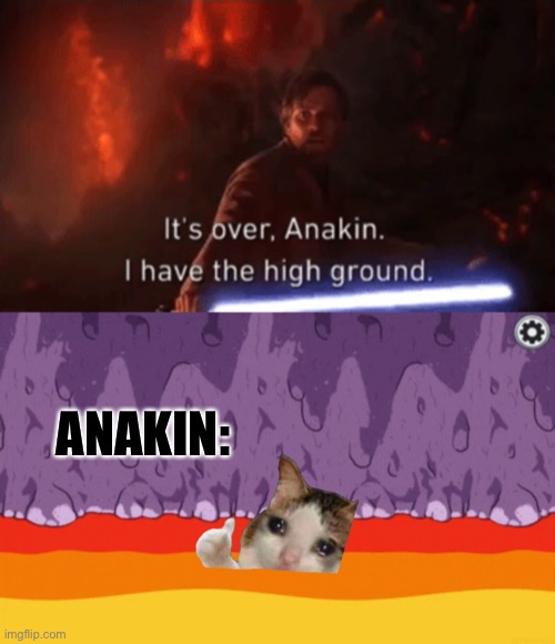 Anakin was not an imposter. There is still an imposter among us | ANAKIN: | image tagged in i have the high ground,sad cat among us | made w/ Imgflip meme maker