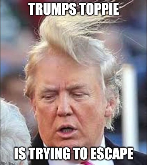 Trump Hair | TRUMPS TOPPIE; IS TRYING TO ESCAPE | image tagged in trump hair | made w/ Imgflip meme maker