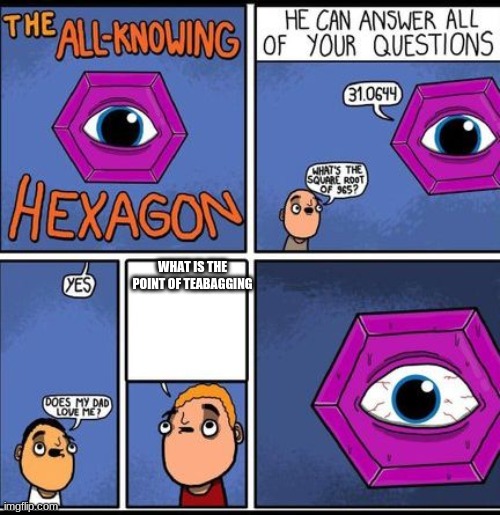 Yes what is the point | WHAT IS THE POINT OF TEABAGGING | image tagged in all knowing hexagon | made w/ Imgflip meme maker