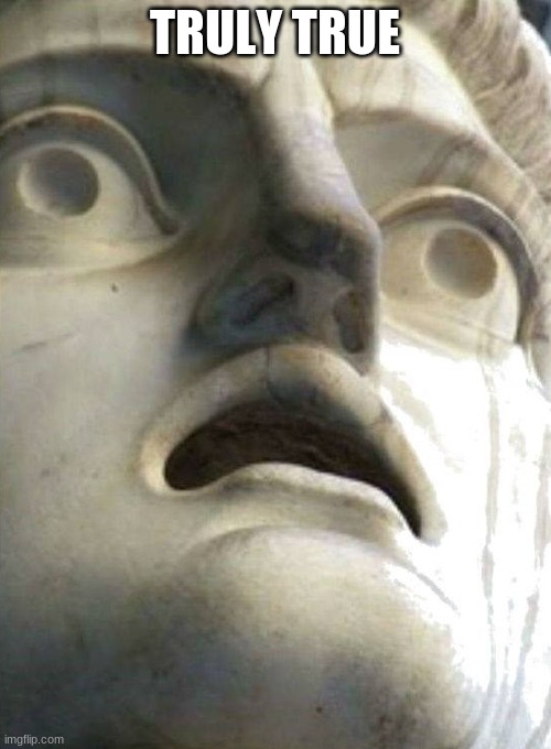 Shocked Athenian | TRULY TRUE | image tagged in shocked athenian | made w/ Imgflip meme maker