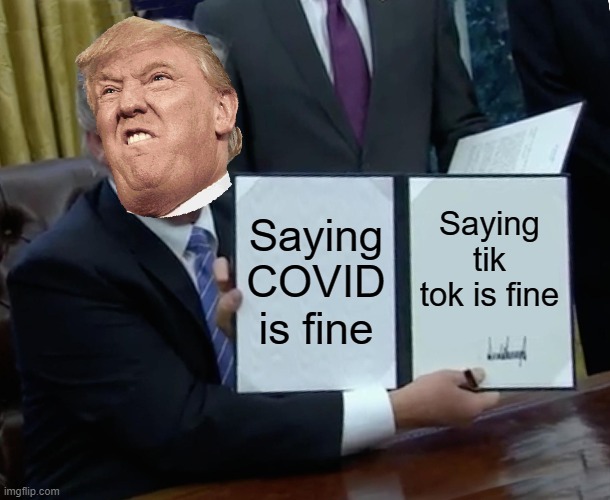 Trump Bill Signing Meme | Saying COVID is fine; Saying tik tok is fine | image tagged in memes,trump bill signing | made w/ Imgflip meme maker