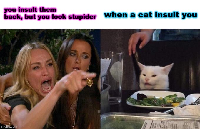 Woman Yelling At Cat | you insult them back, but you look stupider; when a cat insult you | image tagged in memes,woman yelling at cat | made w/ Imgflip meme maker