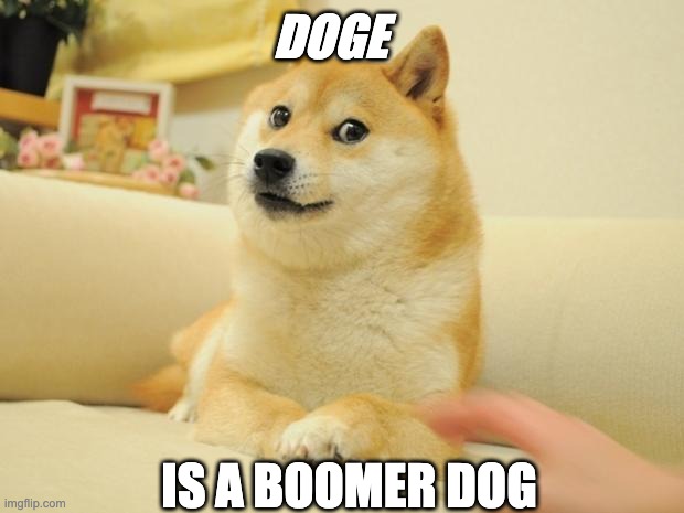Doge 2 | DOGE; IS A BOOMER DOG | image tagged in memes,doge 2 | made w/ Imgflip meme maker