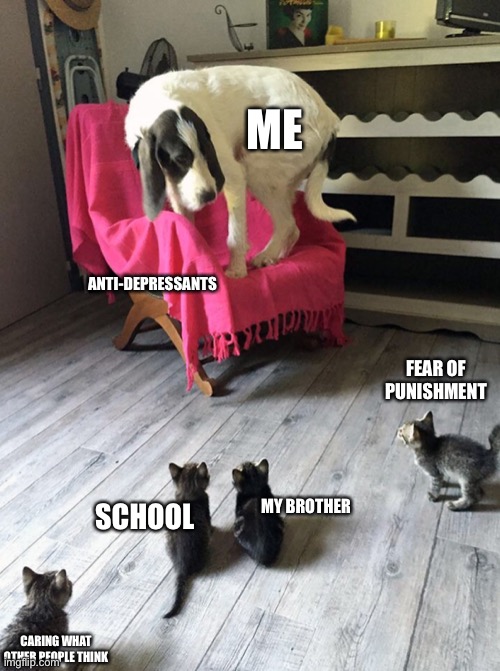 Yeah rip | ME; ANTI-DEPRESSANTS; FEAR OF PUNISHMENT; MY BROTHER; SCHOOL; CARING WHAT OTHER PEOPLE THINK | image tagged in dog scared of coats | made w/ Imgflip meme maker