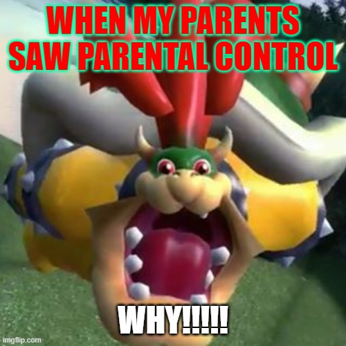 Bowser on LSD | WHEN MY PARENTS SAW PARENTAL CONTROL; WHY!!!!! | image tagged in bowser on lsd | made w/ Imgflip meme maker