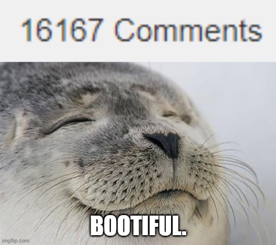 BOOTIFUL. | image tagged in memes,satisfied seal | made w/ Imgflip meme maker