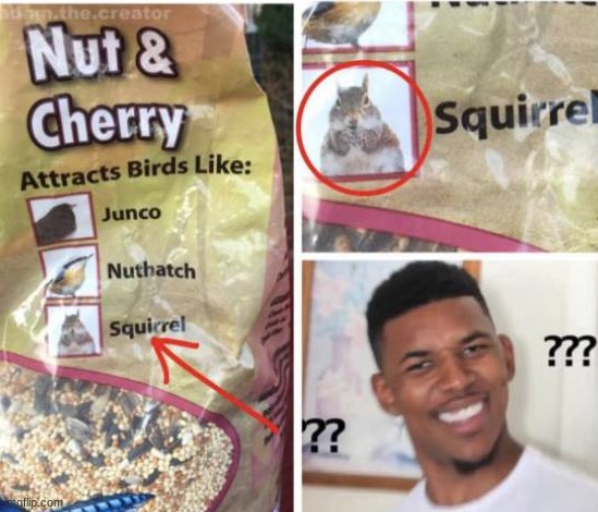 Since when was squirrel a type of bird!? | made w/ Imgflip meme maker