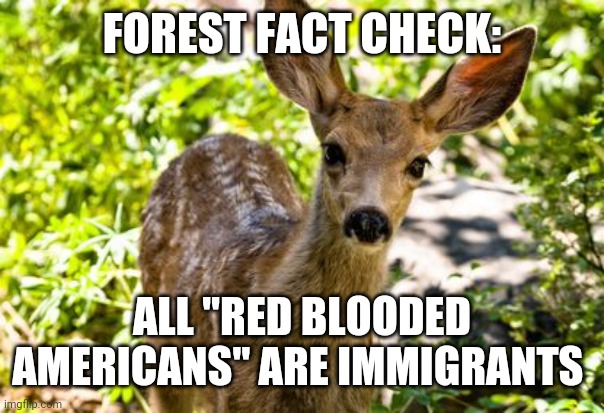 FOREST FACT CHECK: ALL "RED BLOODED AMERICANS" ARE IMMIGRANTS | made w/ Imgflip meme maker