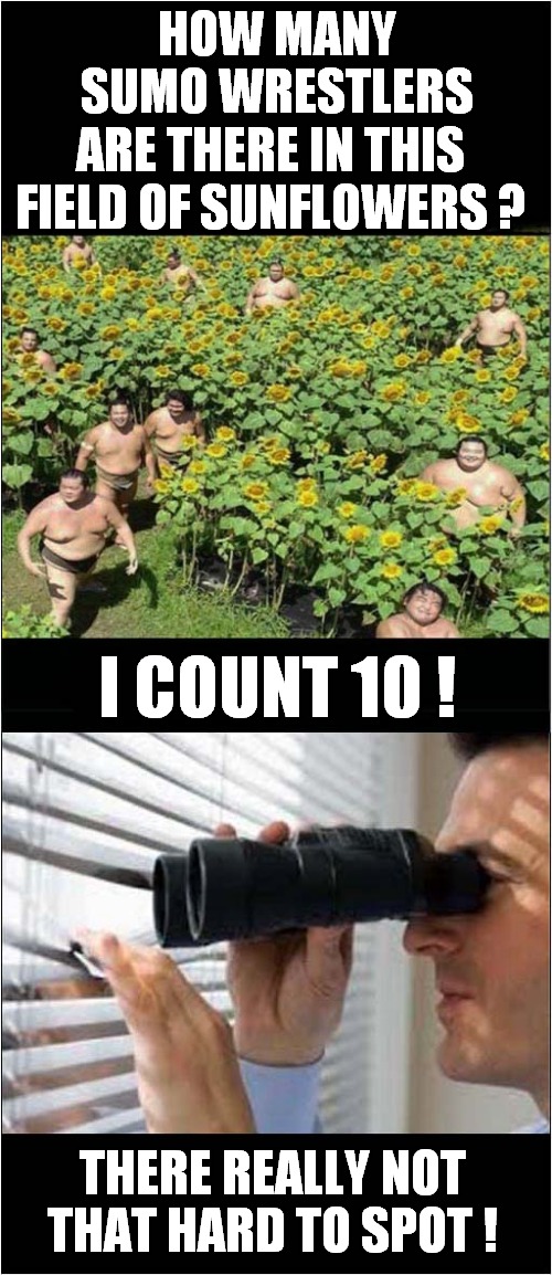 Sumo Spotting ! | HOW MANY SUMO WRESTLERS; ARE THERE IN THIS FIELD OF SUNFLOWERS ? I COUNT 10 ! THERE REALLY NOT THAT HARD TO SPOT ! | image tagged in fun,sumo,spotted | made w/ Imgflip meme maker