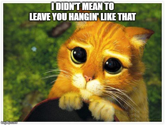Left you hanging | I DIDN'T MEAN TO LEAVE YOU HANGIN' LIKE THAT | image tagged in sorry kitty | made w/ Imgflip meme maker