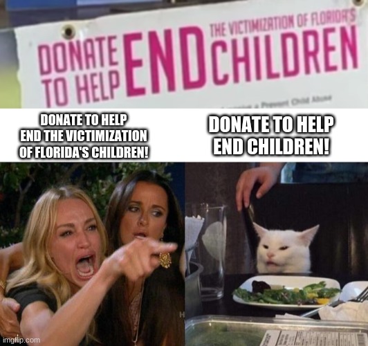 DONATE TO HELP END THE VICTIMIZATION OF FLORIDA'S CHILDREN! DONATE TO HELP END CHILDREN! | image tagged in memes,woman yelling at cat | made w/ Imgflip meme maker