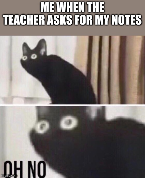 Oh no cat | ME WHEN THE TEACHER ASKS FOR MY NOTES | image tagged in oh no cat | made w/ Imgflip meme maker