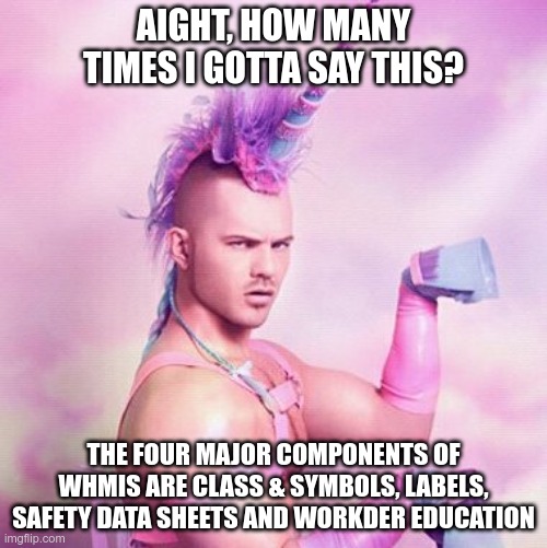 the man | AIGHT, HOW MANY TIMES I GOTTA SAY THIS? THE FOUR MAJOR COMPONENTS OF WHMIS ARE CLASS & SYMBOLS, LABELS, SAFETY DATA SHEETS AND WORKDER EDUCATION | image tagged in memes,unicorn man | made w/ Imgflip meme maker