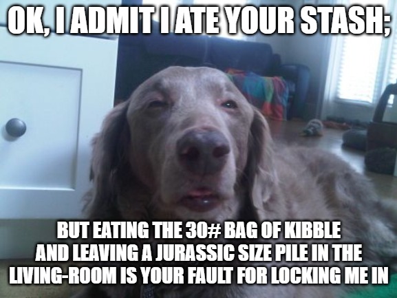 High Dog Meme | OK, I ADMIT I ATE YOUR STASH;; BUT EATING THE 30# BAG OF KIBBLE AND LEAVING A JURASSIC SIZE PILE IN THE LIVING-ROOM IS YOUR FAULT FOR LOCKING ME IN | image tagged in memes,high dog | made w/ Imgflip meme maker