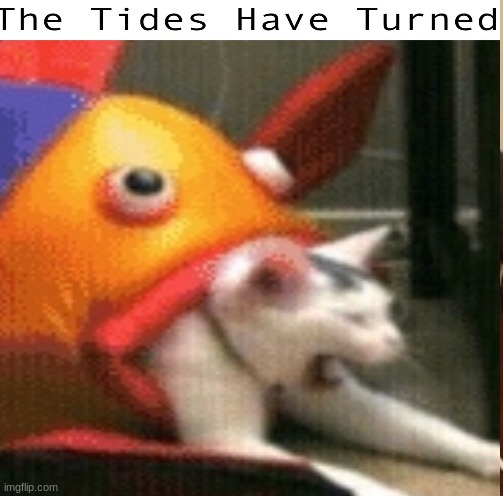THE TIDES HAVE TURNED | image tagged in nope nope nope | made w/ Imgflip meme maker