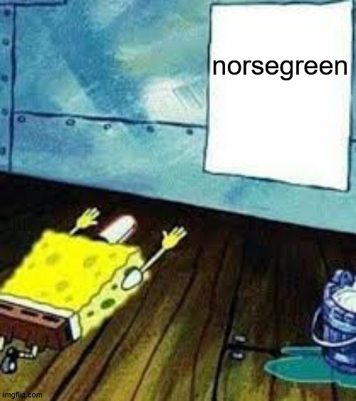 spongebob worship | norsegreen | image tagged in spongebob worship | made w/ Imgflip meme maker