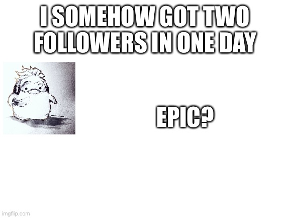 Followers | I SOMEHOW GOT TWO FOLLOWERS IN ONE DAY; EPIC? | image tagged in blank white template,followers,cool,i dont know,one day | made w/ Imgflip meme maker