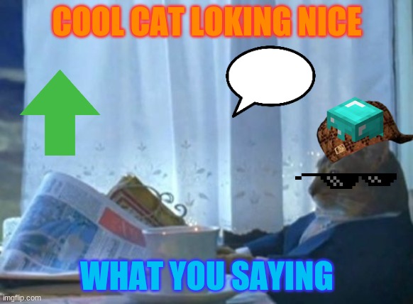 cool cat | COOL CAT LOKING NICE; WHAT YOU SAYING | image tagged in memes,i should buy a boat cat | made w/ Imgflip meme maker