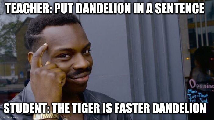 Roll Safe Think About It Meme | TEACHER: PUT DANDELION IN A SENTENCE; STUDENT: THE TIGER IS FASTER DANDELION | image tagged in memes,roll safe think about it | made w/ Imgflip meme maker