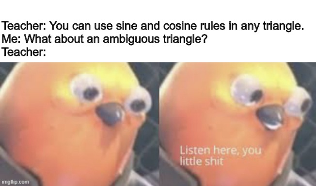 My question was still valid. | Teacher: You can use sine and cosine rules in any triangle.

Me: What about an ambiguous triangle?

Teacher: | image tagged in listen here you little shit bird | made w/ Imgflip meme maker