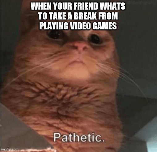WHEN YOUR FRIEND WHATS
TO TAKE A BREAK FROM
PLAYING VIDEO GAMES | image tagged in cat | made w/ Imgflip meme maker