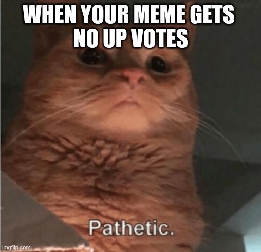 WHEN YOUR MEME GETS 
NO UP VOTES | image tagged in cats | made w/ Imgflip meme maker