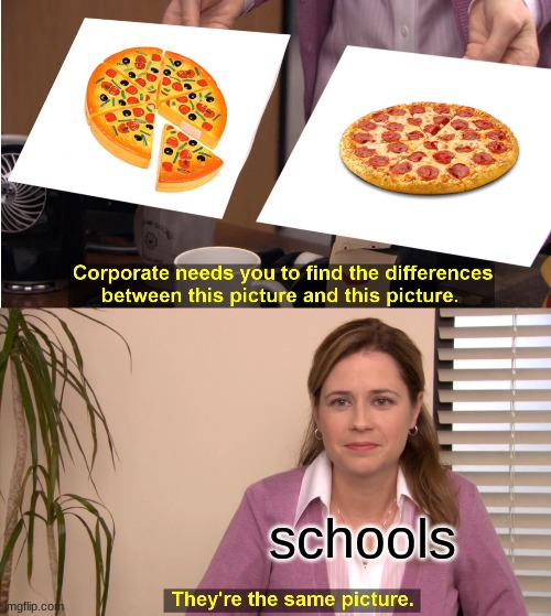 wtf did i make | schools | image tagged in memes,they're the same picture | made w/ Imgflip meme maker