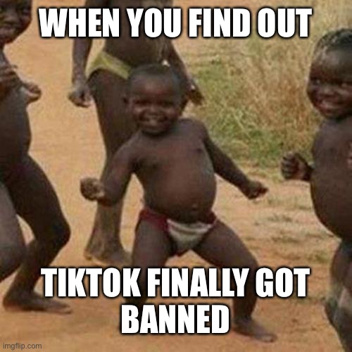 TikTok is gone | WHEN YOU FIND OUT; TIKTOK FINALLY GOT
BANNED | image tagged in memes,third world success kid | made w/ Imgflip meme maker