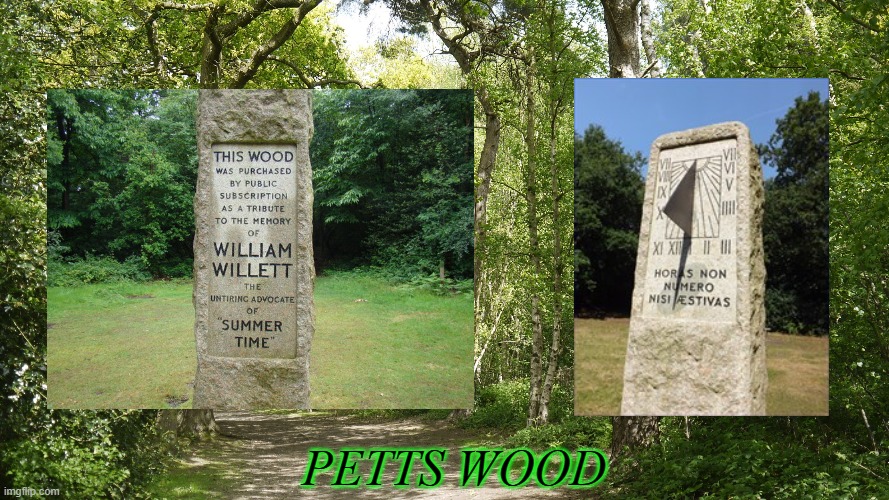 PETTS WOOD | PETTS WOOD | image tagged in petts wood | made w/ Imgflip meme maker