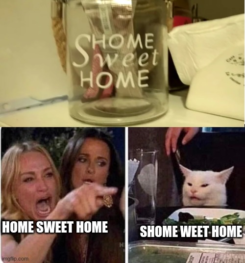 Shome weet home | SHOME WEET HOME; HOME SWEET HOME | image tagged in lady screams at cat | made w/ Imgflip meme maker