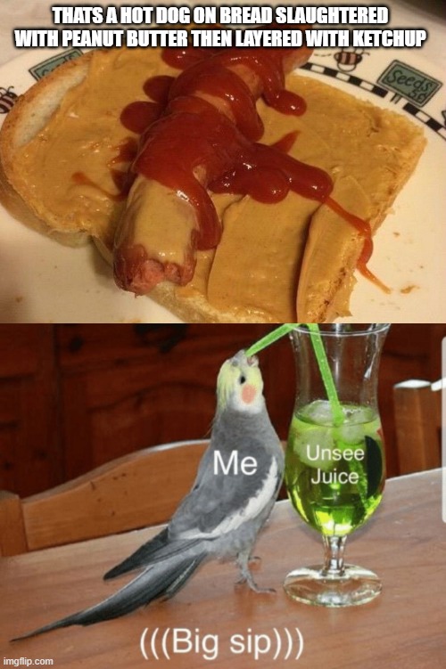gonna need two refills for this one | THATS A HOT DOG ON BREAD SLAUGHTERED WITH PEANUT BUTTER THEN LAYERED WITH KETCHUP | image tagged in unsee juice | made w/ Imgflip meme maker