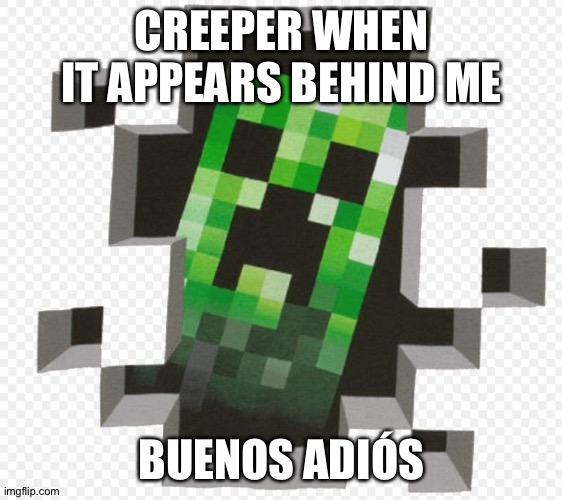 Buenos adiós | CREEPER WHEN IT APPEARS BEHIND ME; BUENOS ADIÓS | image tagged in minecraft creeper | made w/ Imgflip meme maker